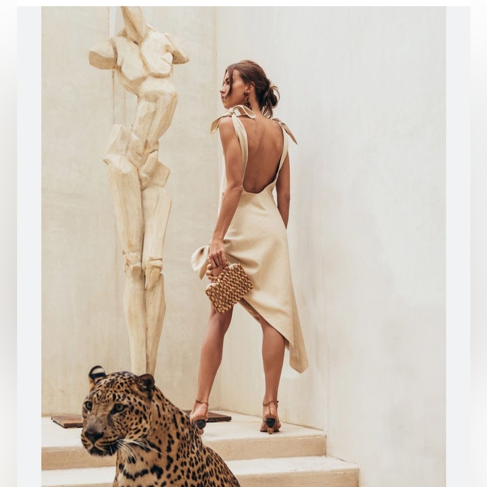 Cult Gaia Delilah Dress
